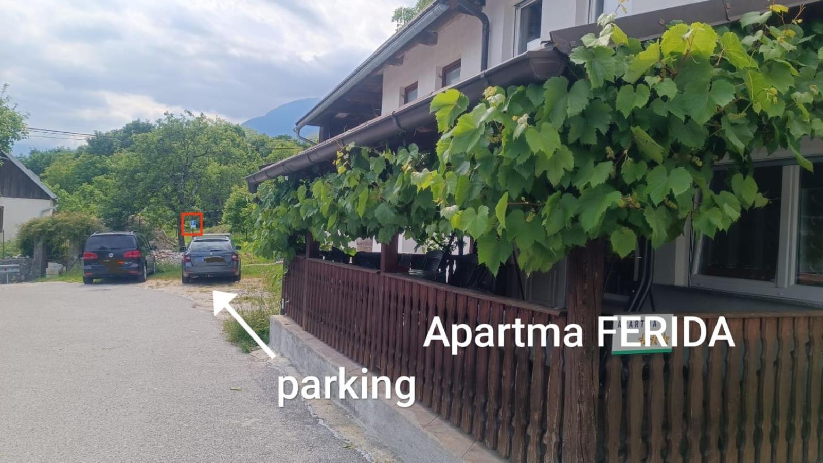 Apartma Ferida *